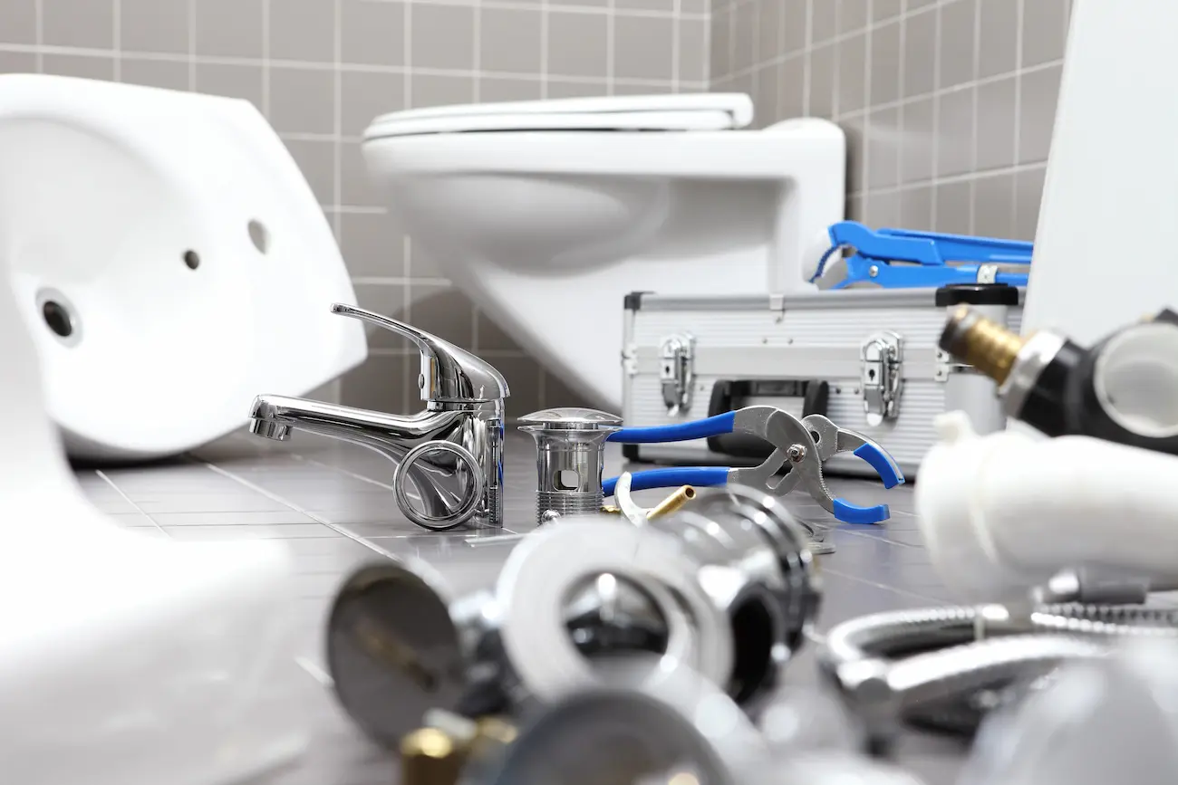 Bathroom Plumbing | Palm Harbor, FL | toilet repair and installation